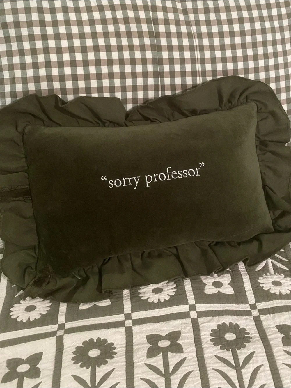 Harry Potter Quidditch Needlepoint Pillow Handmade “Sorry Professor” Ruffle